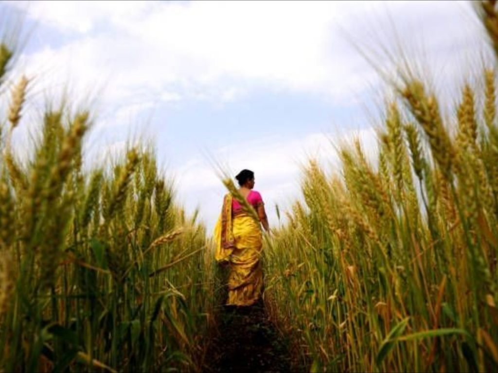 Union Cabinet approves Minimum Support Prices (MSP) for Kharif Crops for Marketing Season 2023-24