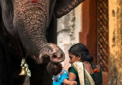 One Spark Is Enough: Cultural Attention Begins Locally